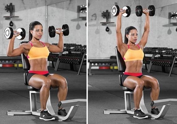 Bai tap Seated Dumbbell Press