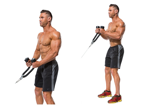 bai tap cable hammer curls