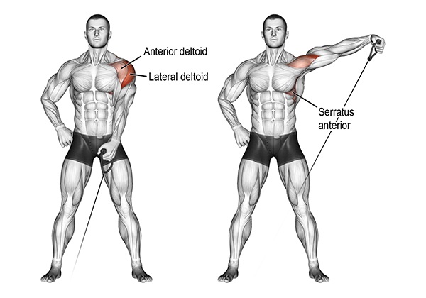 bai tap cable one arm lateral raise