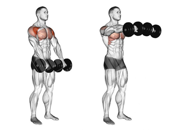 Front Two Dumbbell Raise 1